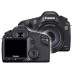 camera back view